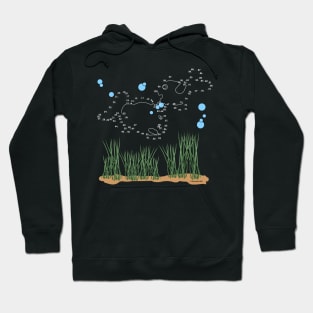 Fish Pond Connect The Dots Hoodie